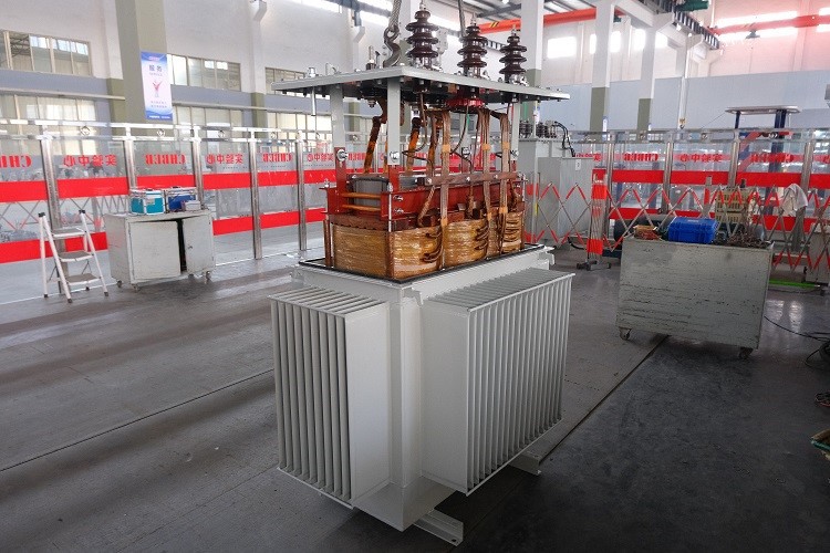 Oil Immersed Transformer Assembly