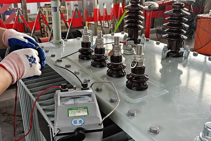 Insulation Resistance Test